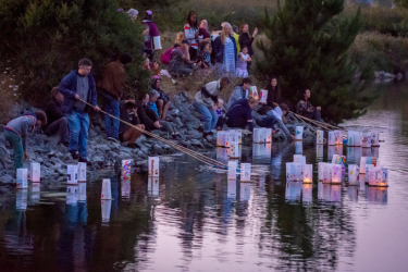 Lanterns being floated on Klopp Lake by volunteers