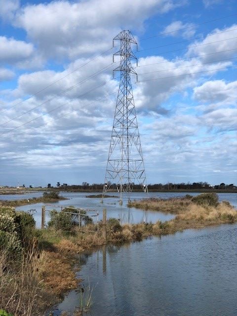 McDaniel Slough Outlook