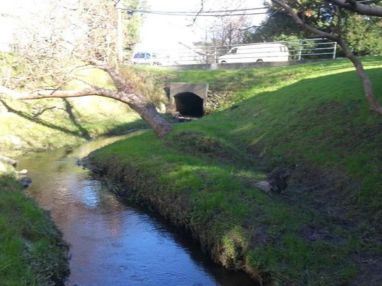 Janes Alliance Before_1