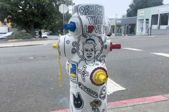 Painted fire hydrant in Arcata