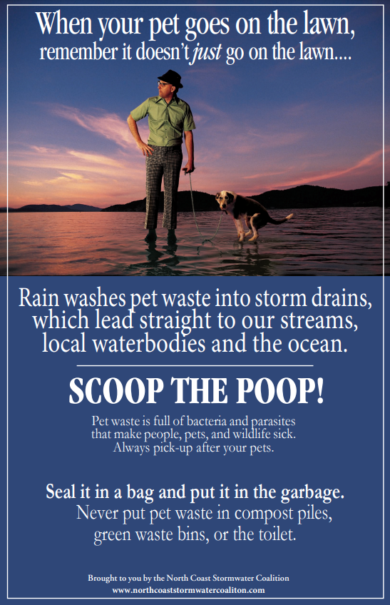 NCSC_poster_Scoop-the-Poop