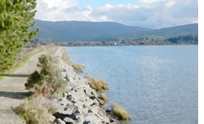 Marsh2 for Front Page