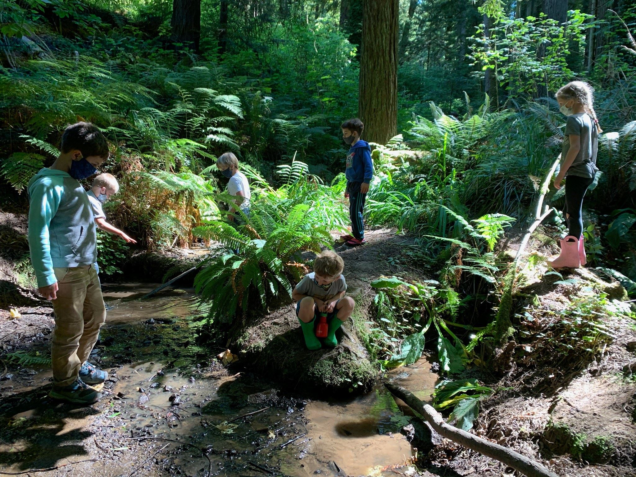 Arcata Recreation Camp Post COVID
